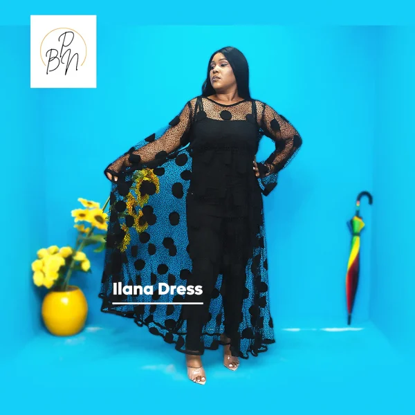 Ilana Dress - Image 2