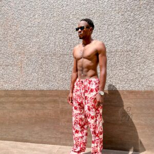 Vermilion male pants